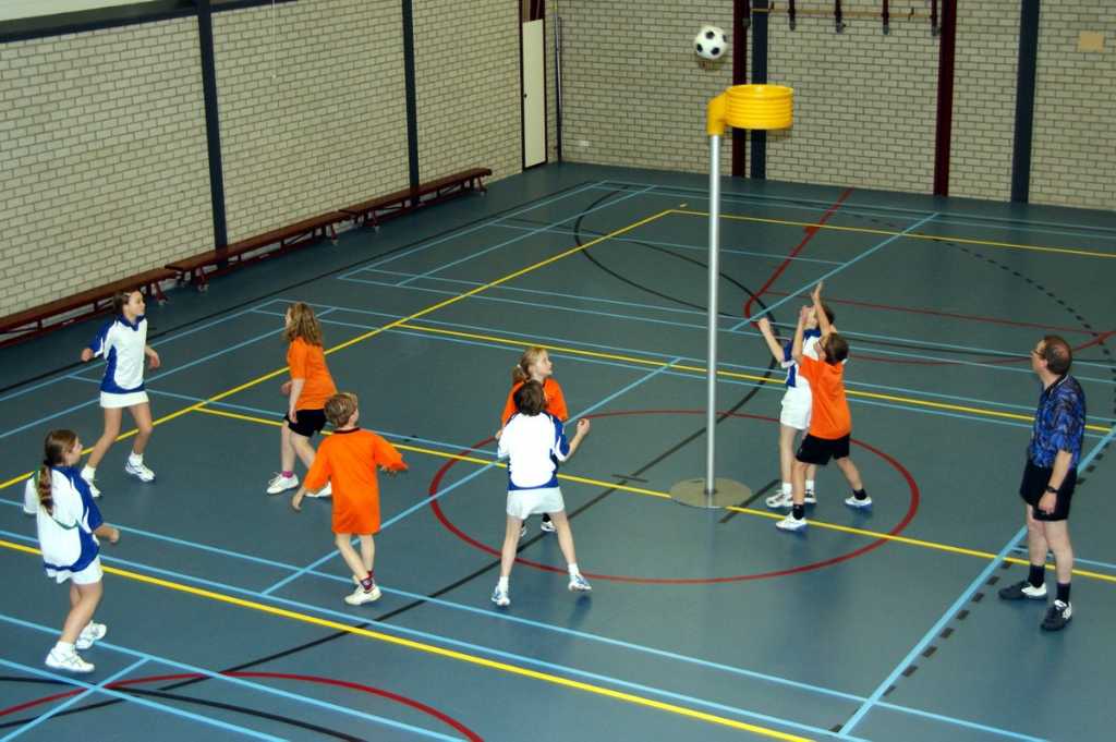 Korfbal D3 6 februari 2010.JPG